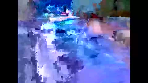 Michael online show from December 4, 2025, 7:39 am