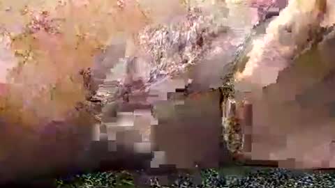 Snapshot of legofactory chatting on January 27, 2025, 4:52 am legofactory online show from January 27, 2025, 4:52 am