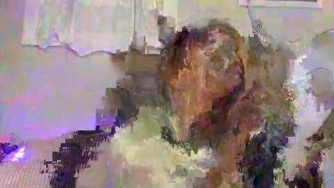 Snapshot of lemonkuilt chatting on January 5, 2025, 3:32 am Jennifer online show from January 5, 2025, 3:32 am