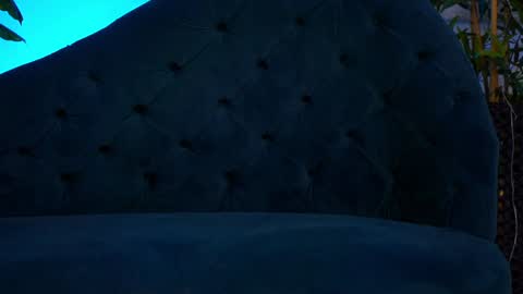 Jessie online show from January 16, 2025, 11:48 am