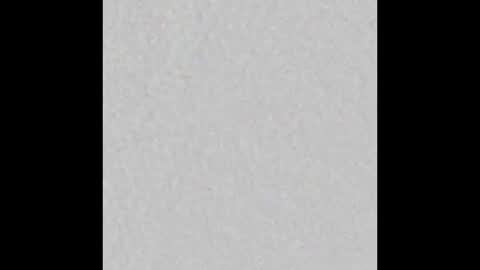 LeslieKorfs online show from February 26, 2026, 7:46 pm