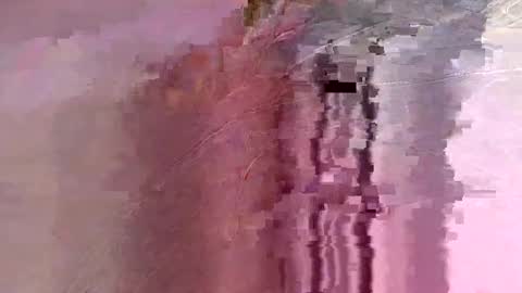 letslookateach online show from February 26, 2026, 8:46 am