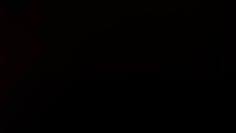 letsplay361 online show from November 20, 2025, 2:34 am