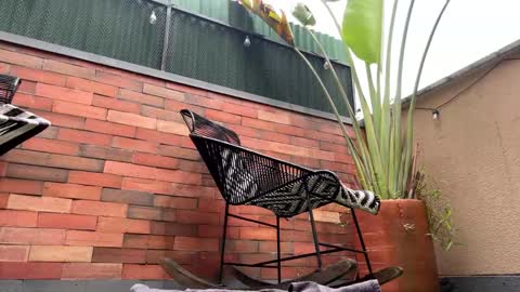 follow me  here you find me online show from March 21, 2026, 4:10 pm