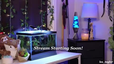 Lex online show from January 15, 2025, 3:22 am