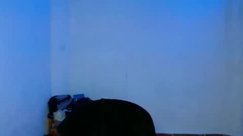 Snapshot of lia_vc chatting on December 22, 2024, 4:50 am lia_vc online show from December 22, 2024, 4:50 am