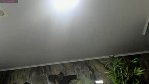 LIAM KLEIN online show from January 25, 2025, 11:23 am