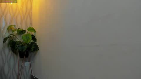 LIAM KLEIN online show from February 12, 2026, 11:05 am