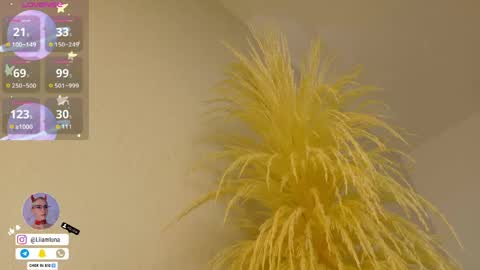 Liiam Luna online show from April 15, 2026, 10:00 am