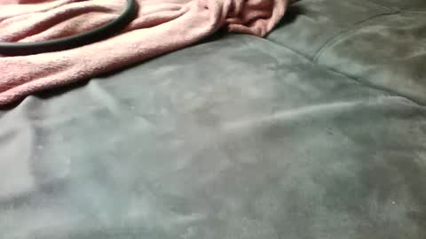 like2405 online show from April 13, 2026, 10:21 am