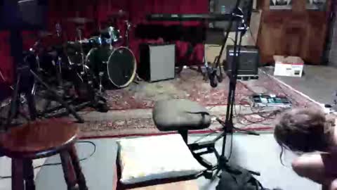 like2dildo online show from February 13, 2026, 4:36 pm