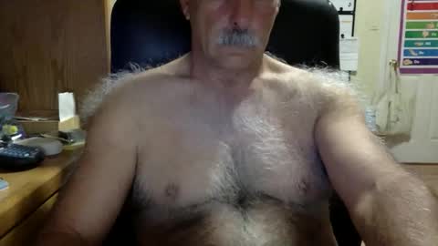 likefhot online show from February 3, 2026, 2:11 pm