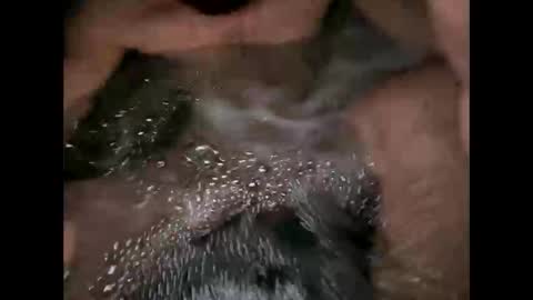 likethat6999 online show from April 7, 2026, 8:59 am