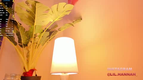 Hanna online show from December 23, 2024, 3:01 pm