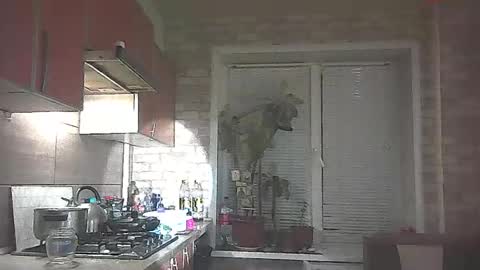 LilaniLoverx online show from January 31, 2026, 8:51 pm