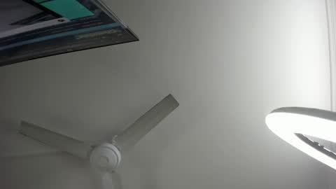 Lili  Marcus online show from January 3, 2025, 8:22 pm