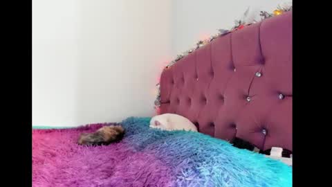 Snapshot of lilithintheeden chatting on February 8, 2025, 8:32 pm Lilith online show from February 8, 2025, 8:32 pm