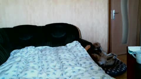 Lenkaa777 online show from April 1, 2026, 12:28 pm