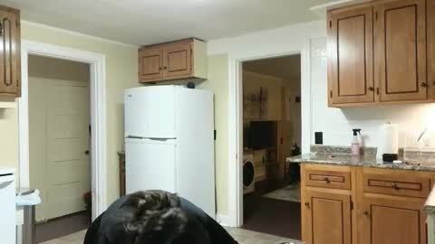 lilly_adams88 online show from November 24, 2025, 11:04 pm