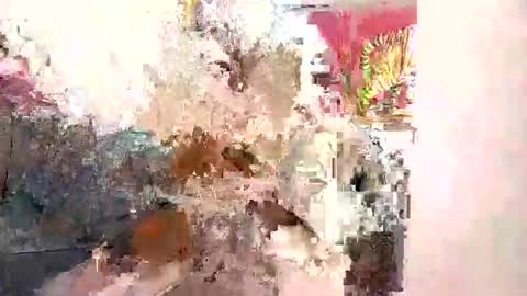 Snapshot of lilsexyx chatting on November 19, 2025, 4:34 am lilsexyx online show from November 19, 2025, 4:34 am