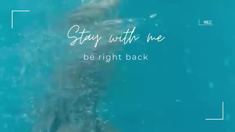 Lily online show from September 29, 2025, 11:48 am