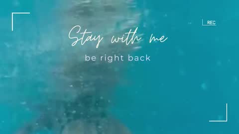 Lily online show from November 1, 2025, 6:15 am