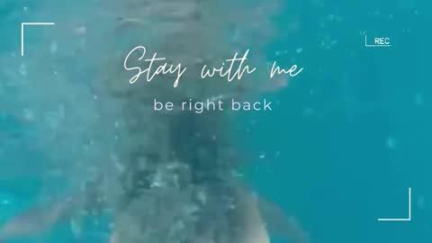 Snapshot of lily_foster_ chatting on February 18, 2026, 6:42 am Lily online show from February 18, 2026, 6:42 am