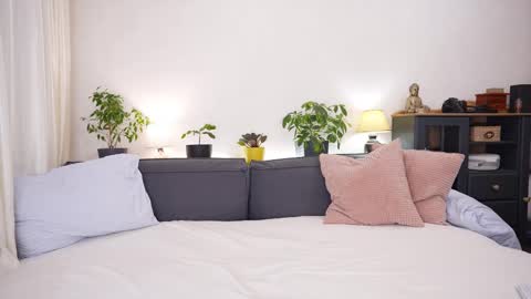 -- My Wishlist  online show from February 15, 2026, 7:51 am