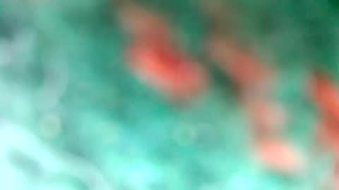 Snapshot of lionelearthquake chatting on March 11, 2025, 4:18 pm lionelearthquake online show from March 11, 2025, 4:18 pm