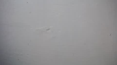 lisa_branch online show from November 27, 2025, 7:27 pm