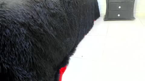 Misstress Martina  online show from February 14, 2025, 10:14 pm