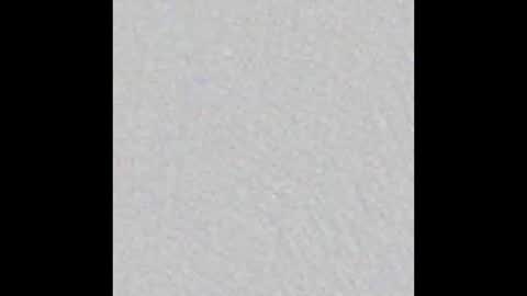 Adaline online show from February 15, 2026, 5:26 am