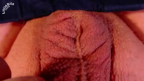 Littlebits online show from June 30, 2026, 1:28 am