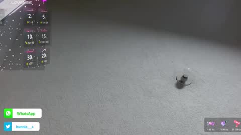 your little bunny  online show from November 6, 2025, 10:27 am