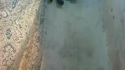 edra online show from October 13, 2025, 5:18 am