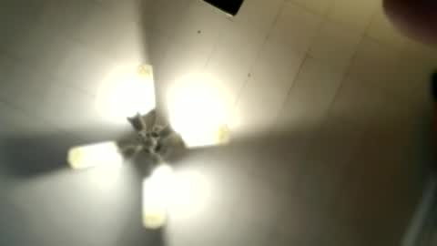 littlelonelylenny online show from March 6, 2026, 9:17 am