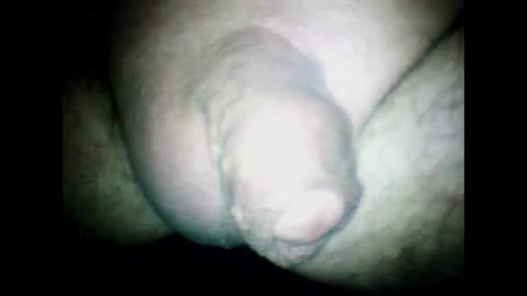 Snapshot of littlestick chatting on January 30, 2025, 10:08 am littlestick online show from January 30, 2025, 10:08 am