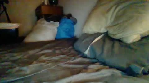 Snapshot of livecock89 chatting on February 5, 2025, 12:38 pm livecock89 online show from February 5, 2025, 12:38 pm