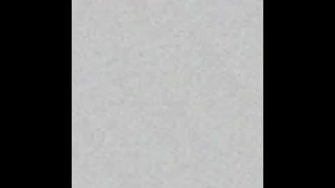 Liz  online show from January 24, 2025, 9:28 am