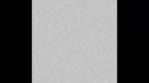 Liz  online show from March 1, 2025, 9:40 am