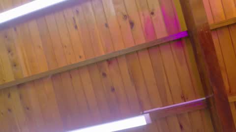  LIZBETH ROSS  online show from January 9, 2026, 10:18 am