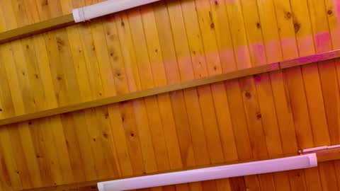  LIZBETH ROSS  online show from January 12, 2026, 10:20 am