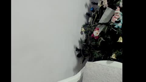 Snapshot of lizz1305 chatting on December 26, 2024, 3:20 pm lizz1305 online show from December 26, 2024, 3:20 pm