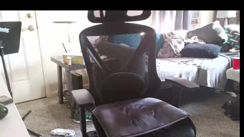 LongDick Daddy online show from November 14, 2025, 7:56 pm