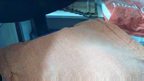 Snapshot of loboxavi chatting on September 19, 2025, 1:23 pm loboxavi online show from September 19, 2025, 1:23 pm