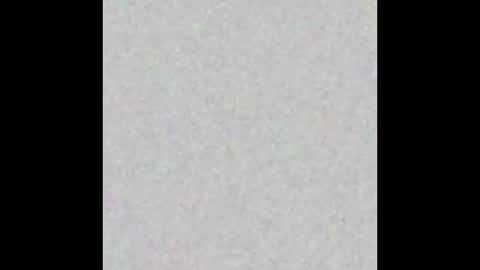 Your only Peach online show from September 19, 2025, 10:05 am