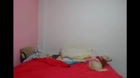Snapshot of lolitabitchhorney_ chatting on May 19, 2026, 8:04 pm Lolita online show from May 19, 2026, 8:04 pm