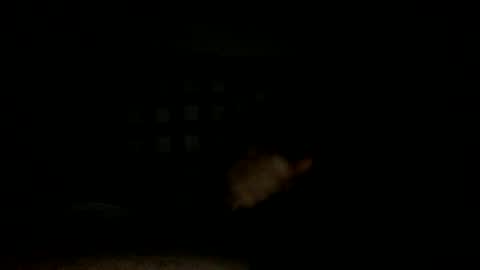 Snapshot of lonezane chatting on November 14, 2025, 7:34 pm Handsome Cock online show from November 14, 2025, 7:34 pm