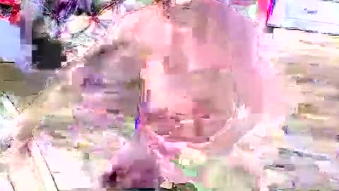 look4fun316 online show from November 4, 2025, 1:48 am