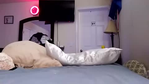 lookatmecum4you online show from January 18, 2025, 11:32 am